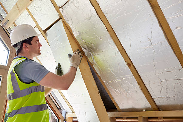 Best Insulation Maintenance and Repair in Lackawanna, NY